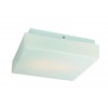 Потолочный светильник для ванной Bango SL503.502.02