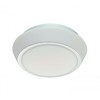 Потолочный светильник для ванной Bango SL496.502.01