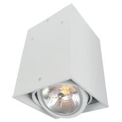 Карданный светильник Cardani A5936PL-1WH