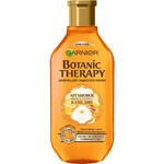 Шампунь Botanic Therapy Аргановое масло и Экстракт Камелии для длинных и непослушных волос 400мл