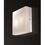 Настенно-потолочный светильник HILL 2406/2C