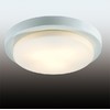 Настенно-потолочный светильник влагозащищённый HOLGER 2745/3C